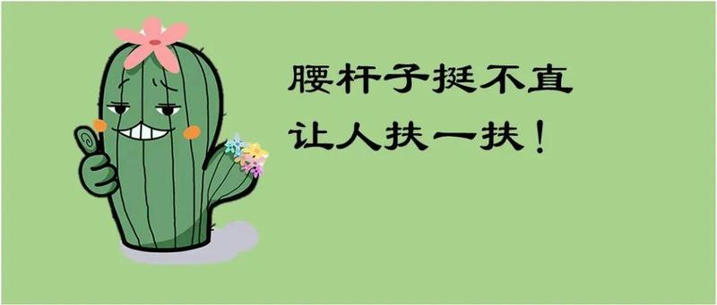 “站没站相，坐没坐相”可能是……