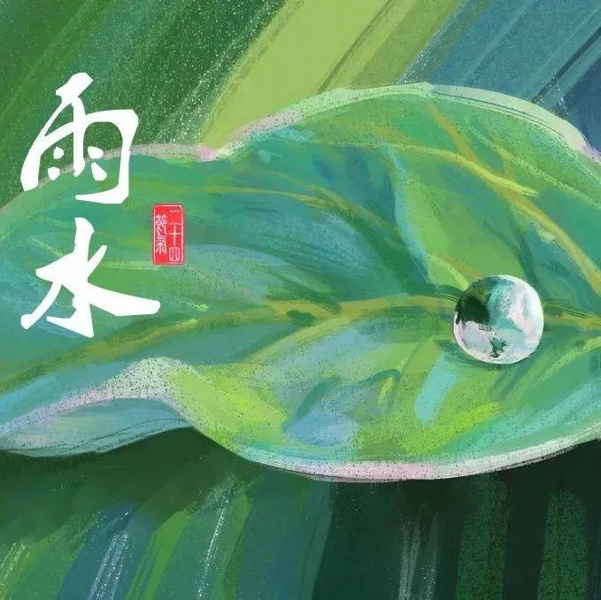 今日雨水丨风雨送春归，一起云赏梧桐山吊钟花