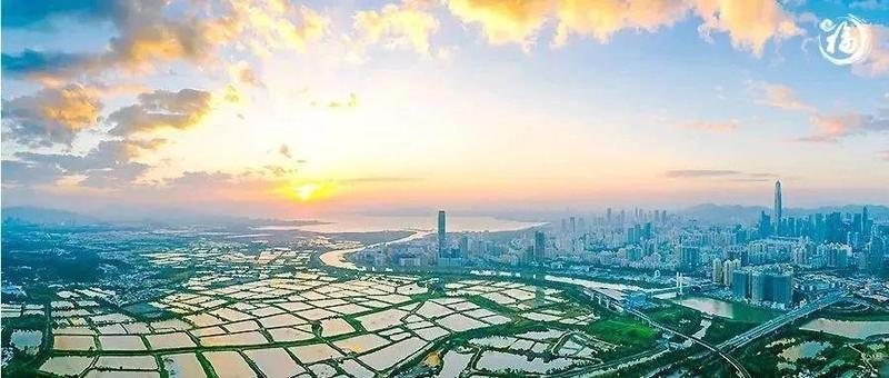 短短一年，这家入驻河套“e站通”的单位干了这么多事