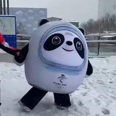 “舍不得一生要强的墩子”