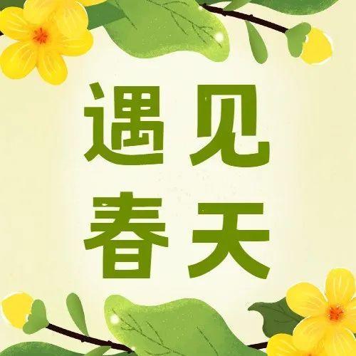 鹏城春来早，最是花开好看时
