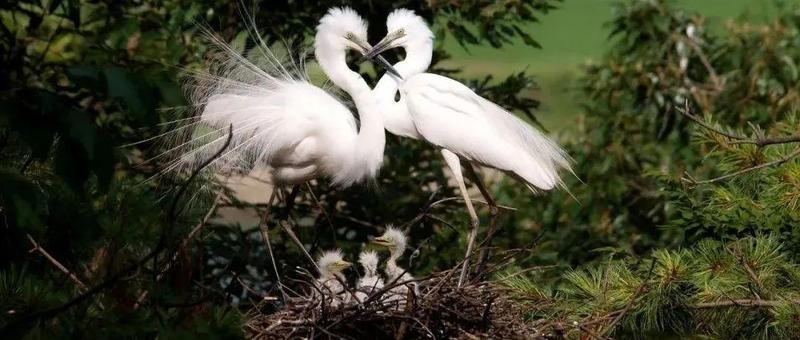 安心行动 | “舒心懿相随”，舒缓减压音乐陪伴你