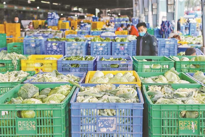 深圳海吉星蔬菜日均来货量超5000吨 深港两地“菜篮子”供应充足稳定