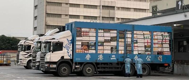 疫情之下的文锦渡口岸，On Call 24小时