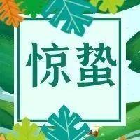 罗医集团罗湖中医院治未病科二十四节气惊蛰养生提醒丨调达肝气，平衡阴阳