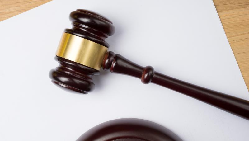 广东代表委员细数“两高”工作报告中暖心举措