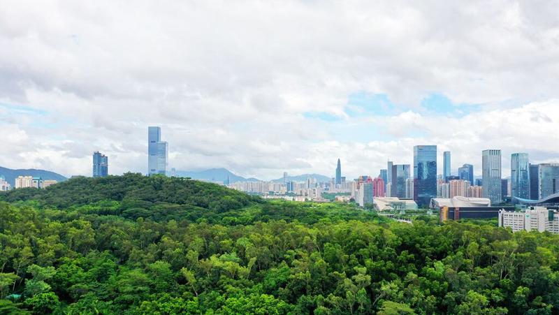 深圳经济高质量发展辩证法｜喜“新”恋“旧” 无问西东