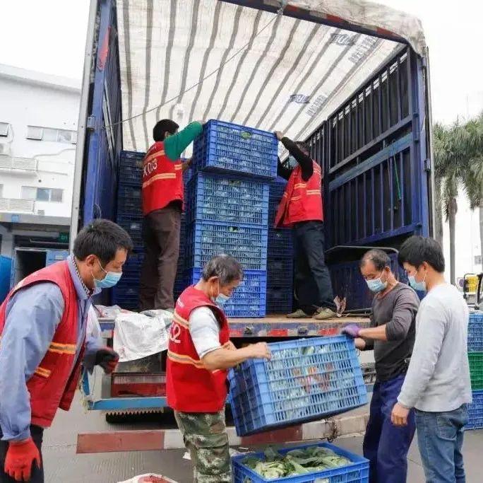 莫慌！深圳“菜篮子”供应稳着呢