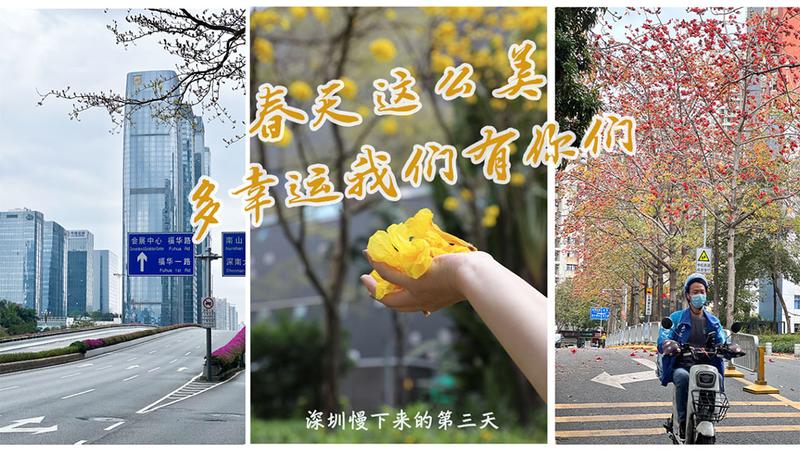 今日深圳3月16日：春天这么美，多幸运我们有你们