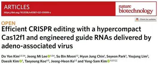 华大智造测序平台助力CRISPR基因编辑系统升级，研究成果在《自然》子刊发表