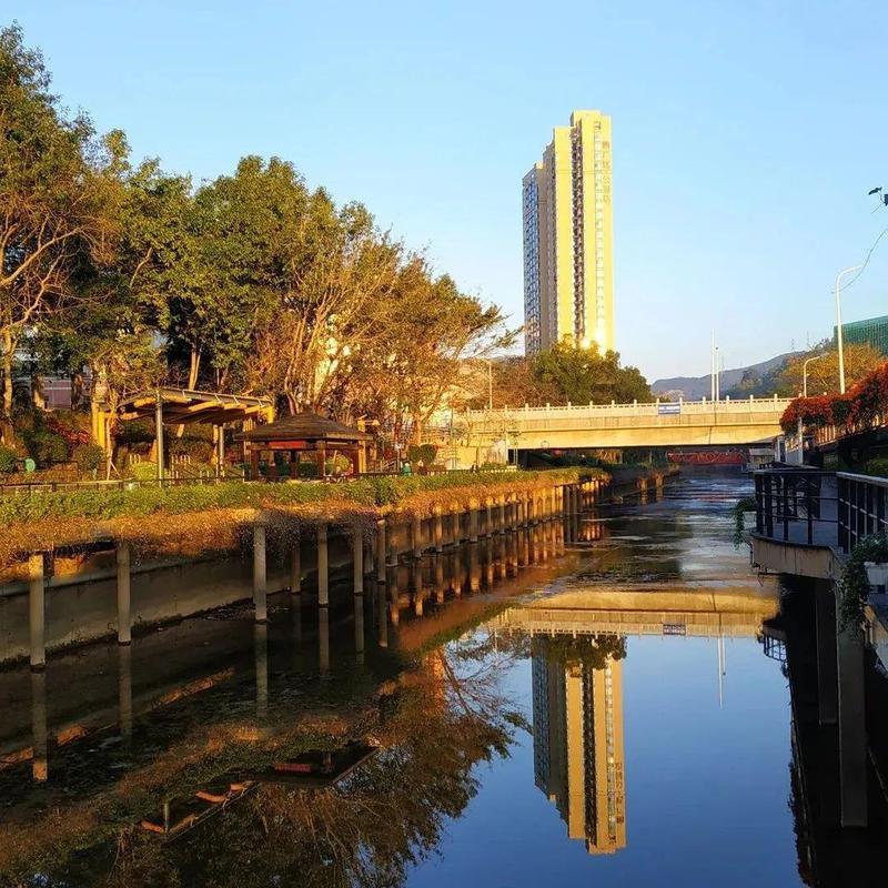 云赏盐田 | 阳春三月，跟着河长一起踏春巡河吧！