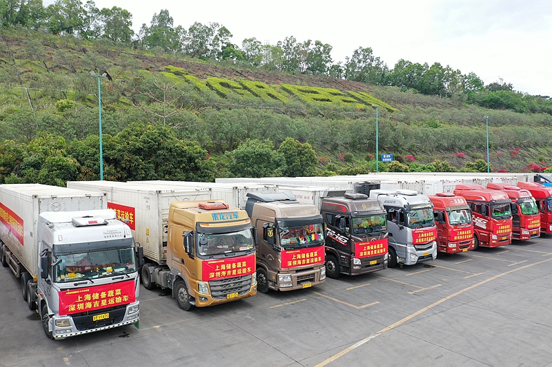 出发！深圳海吉星500吨蔬菜星夜支援上海