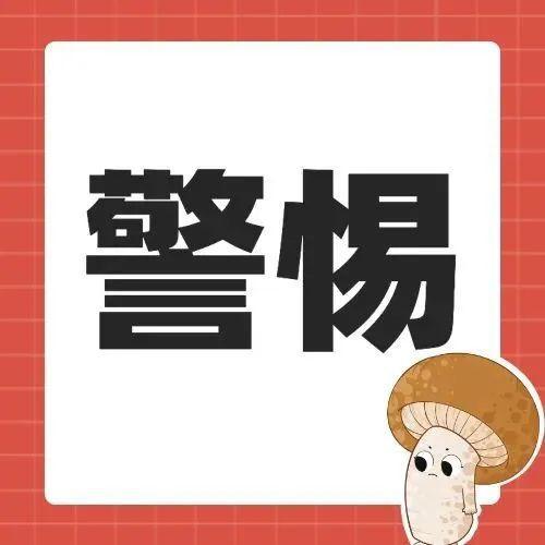 真的有毒！致命毒蘑菇高发季，切勿采摘食用！