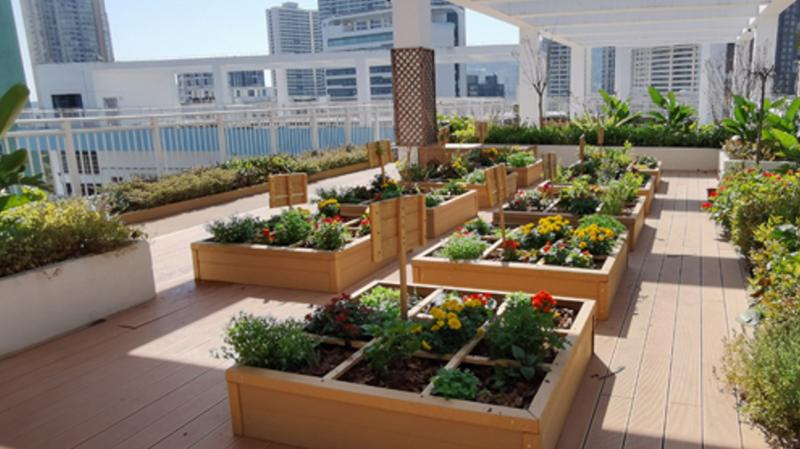 今年盐田又将新建5个社区共建花园！选址由你来决定！