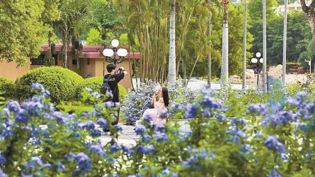 赏花观景、登山看海、野餐露营……“五一”可以这样玩