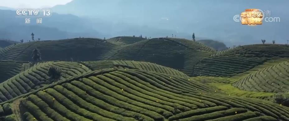 a50dfd1202a5f3a23e560909af89011b_2022050812060296812.jpg a50dfd1202a5f3a23e560909af89011b_2022050812060296812.jpg