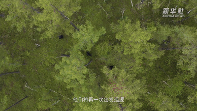 bfd1d42ac2a4cd2bdef99a540085d5a2_UID20220616151501541170.gif