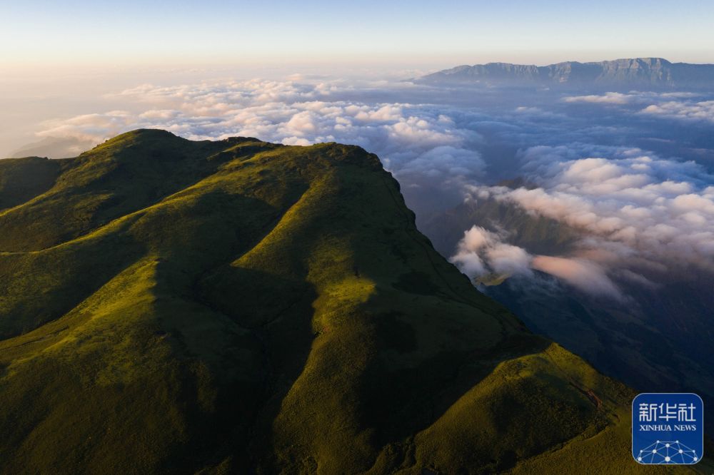 05f2eacc66bb558c937c2a751711ddff_quality,Q_80.jpg 05f2eacc66bb558c937c2a751711ddff_quality,Q_80.jpg