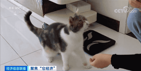 640.gif