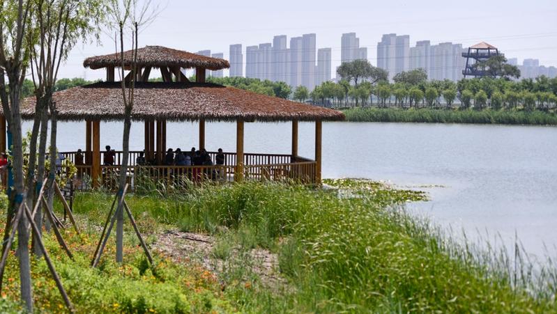 天津打造保护京津冀的绿色生态屏障