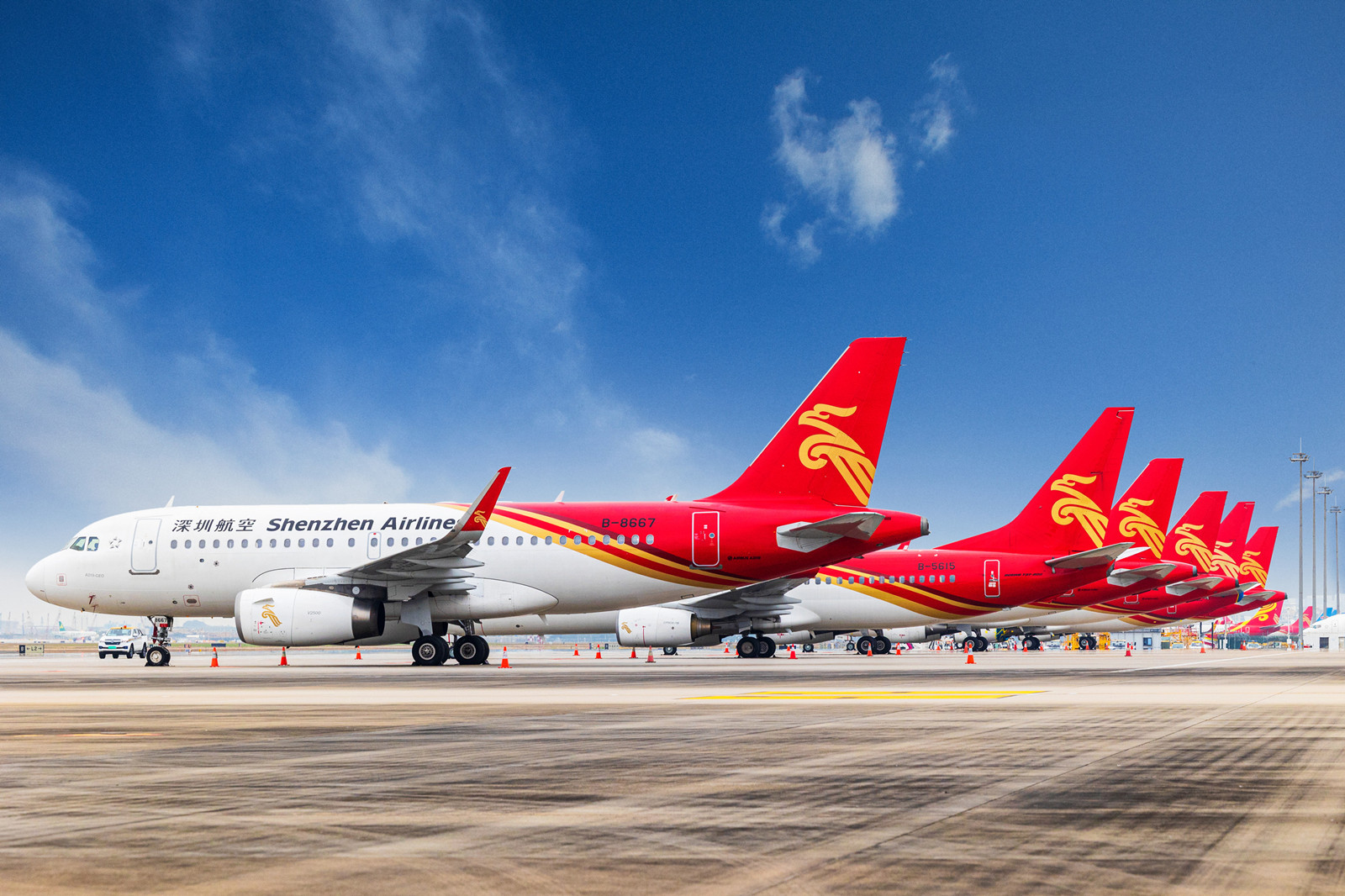 深圳航空全机队上线舒适经济舱 覆盖率行业最高