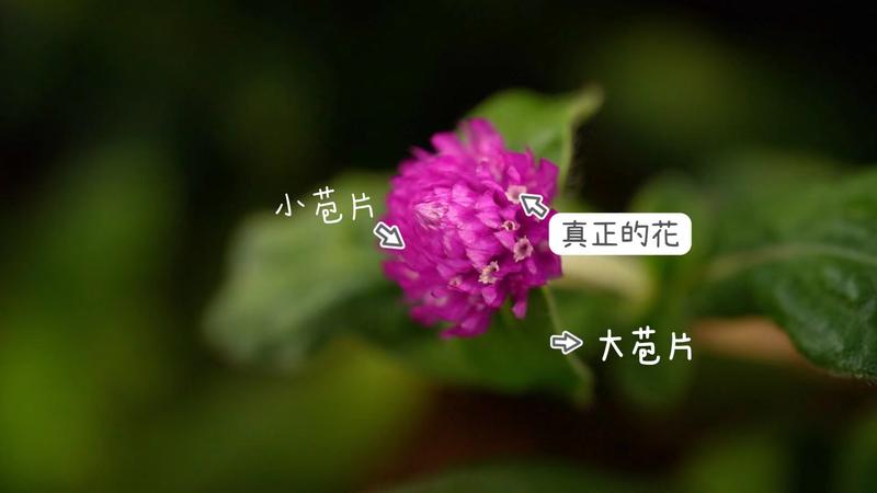 d6f83b68178d56f5abf8220607cad15c_fe8722b0b2a172e01f18eda50d2bd150.jpeg