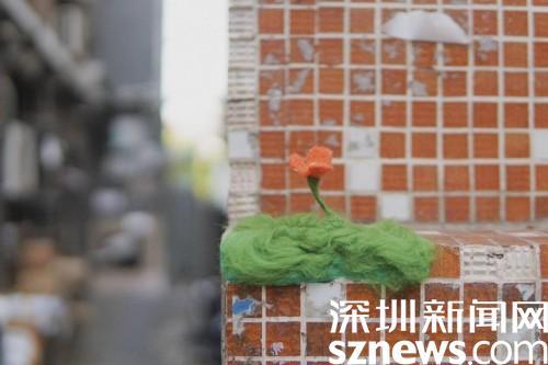 ​“植物补丁”种在街头 深圳本土植物蛋白品牌「星期零」给城市种植浪漫