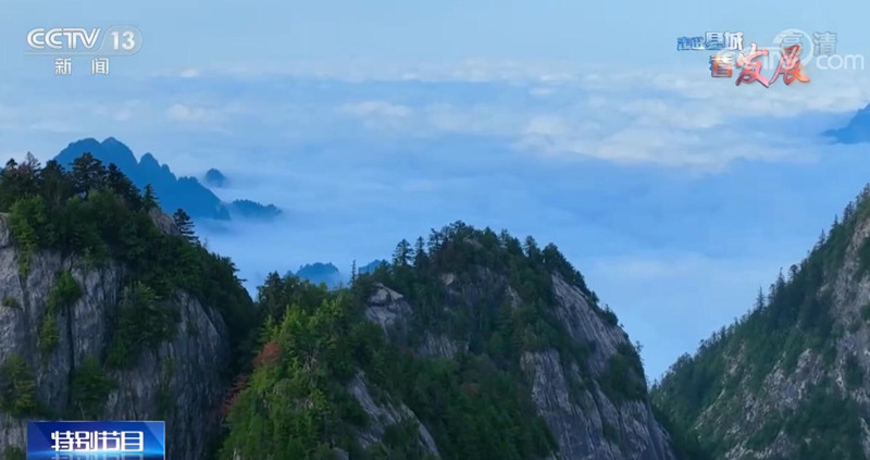 46f5c3aeadac8d5b50025a312929a61e_2022081011004165705.jpg 46f5c3aeadac8d5b50025a312929a61e_2022081011004165705.jpg