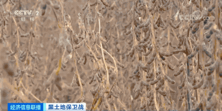 6c16df44b5ece1d14e80a9d048276238_640_wx_fmt=gif&wxfrom=5&wx_lazy=1.gif
