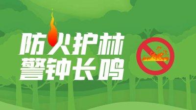 海报 | 森林防火“六不要”，要谨记