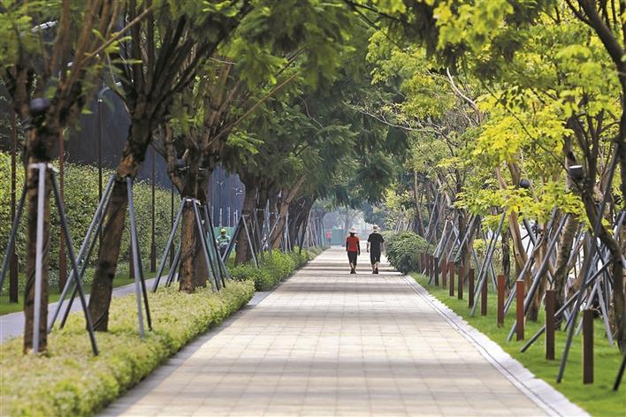深圳将建从西到东260公里远足径 起于宝安罗田森林公园终于大鹏鹿嘴山庄 满足市民户外远足需求