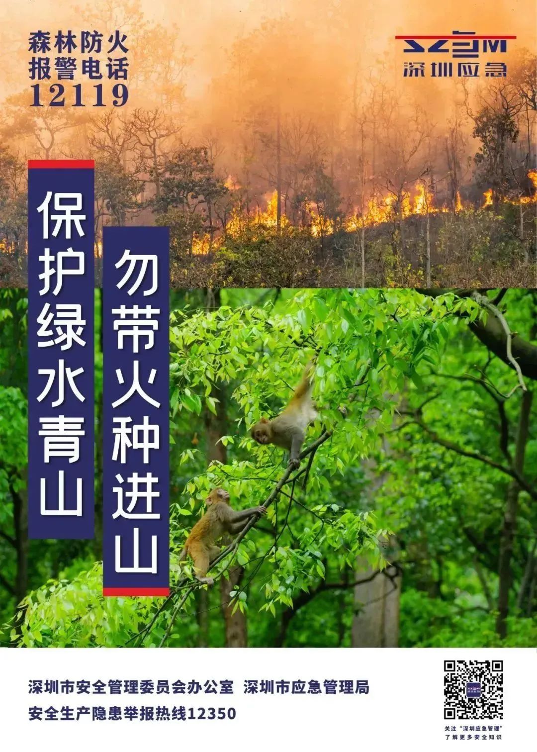 重要提醒！深圳印发《森林防火禁火通告》