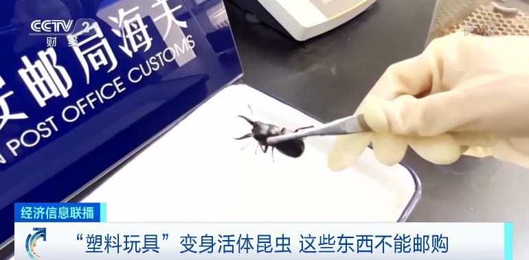 326306e594a9d7e78356ca72636ed65c_640_wx_fmt=png&wxfrom=5&wx_lazy=1&wx_co=1.png 326306e594a9d7e78356ca72636ed65c_640_wx_fmt=png&wxfrom=5&wx_lazy=1&wx_co=1.png