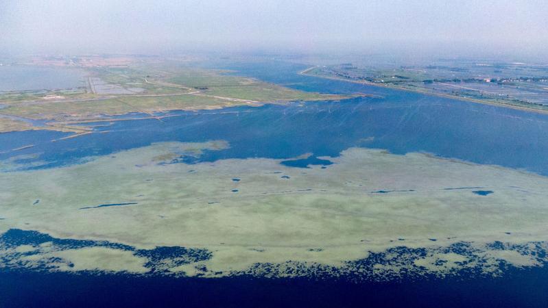 走进武汉沉湖国际重要湿地：候鸟栖息的乐园