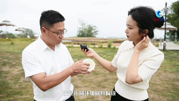 1129130514_16684996697681n.gif