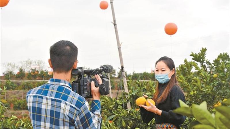 2022赣南脐橙国际博览会在信丰开幕 半数以上脐橙销往大湾区