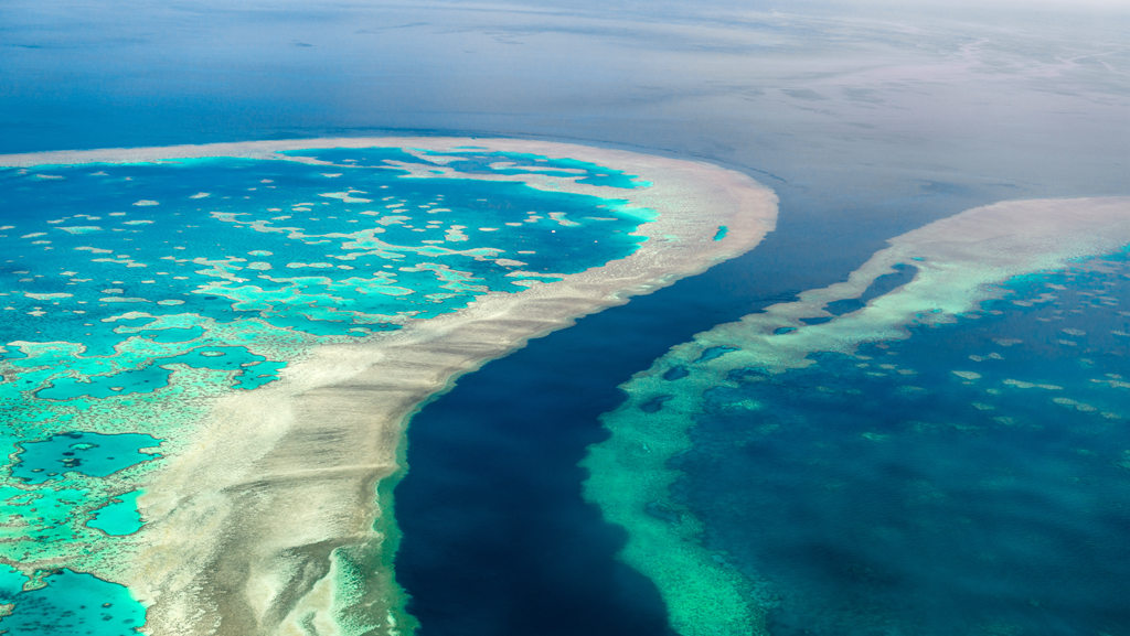 大堡礁“面临严重威胁”，要被列为濒危世界遗产？澳大利亚：反对！