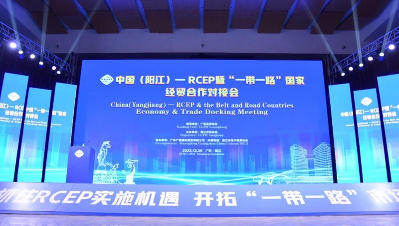 中国（阳江）—RCEP暨“一带一路”国家经贸合作对接会举办