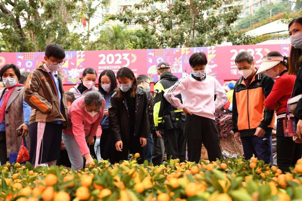 年味罗湖|爱国路花市正式开幕，姹紫嫣红年味浓
                                        