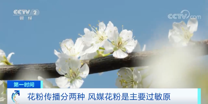 81497dd3cc1b23f3cdafb0e763bd2424_640_wx_fmt=png&wxfrom=5&wx_lazy=1&wx_co=1.png
