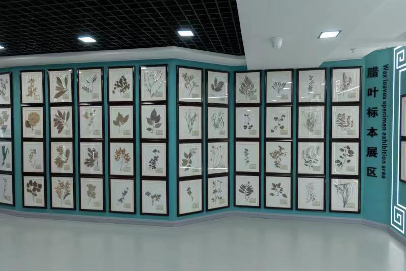 微信图片_20230302140901.jpg 微信图片_20230302140901.jpg