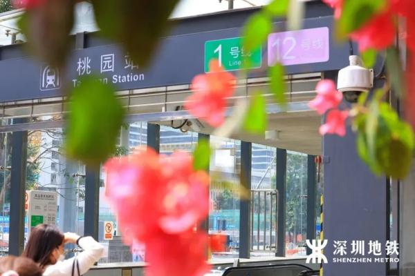 冲上热搜！深圳地铁站被全国网友围观了