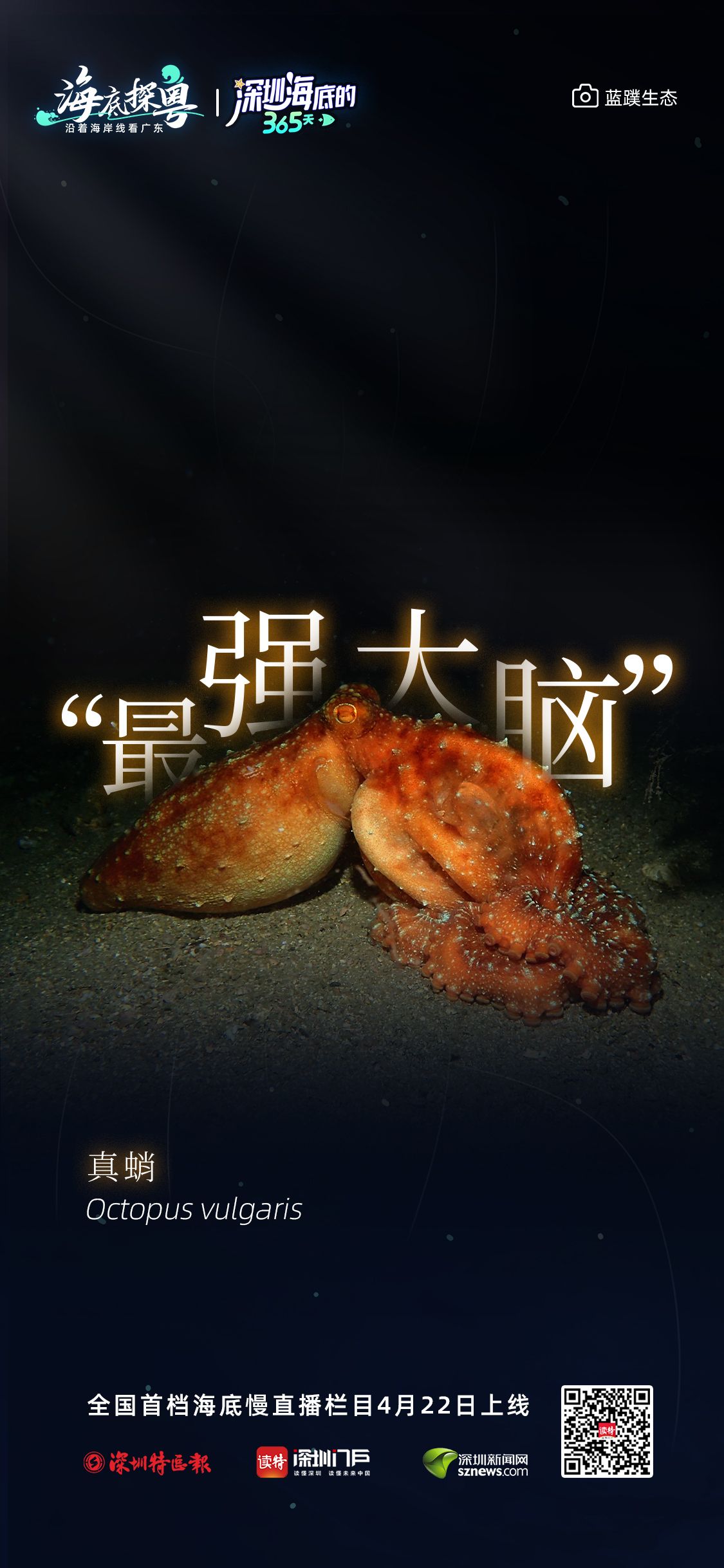 5cf22c7701839a8f918788984c59e328_28e3049cbeb1679c23c8d378497f8ed5.jpeg