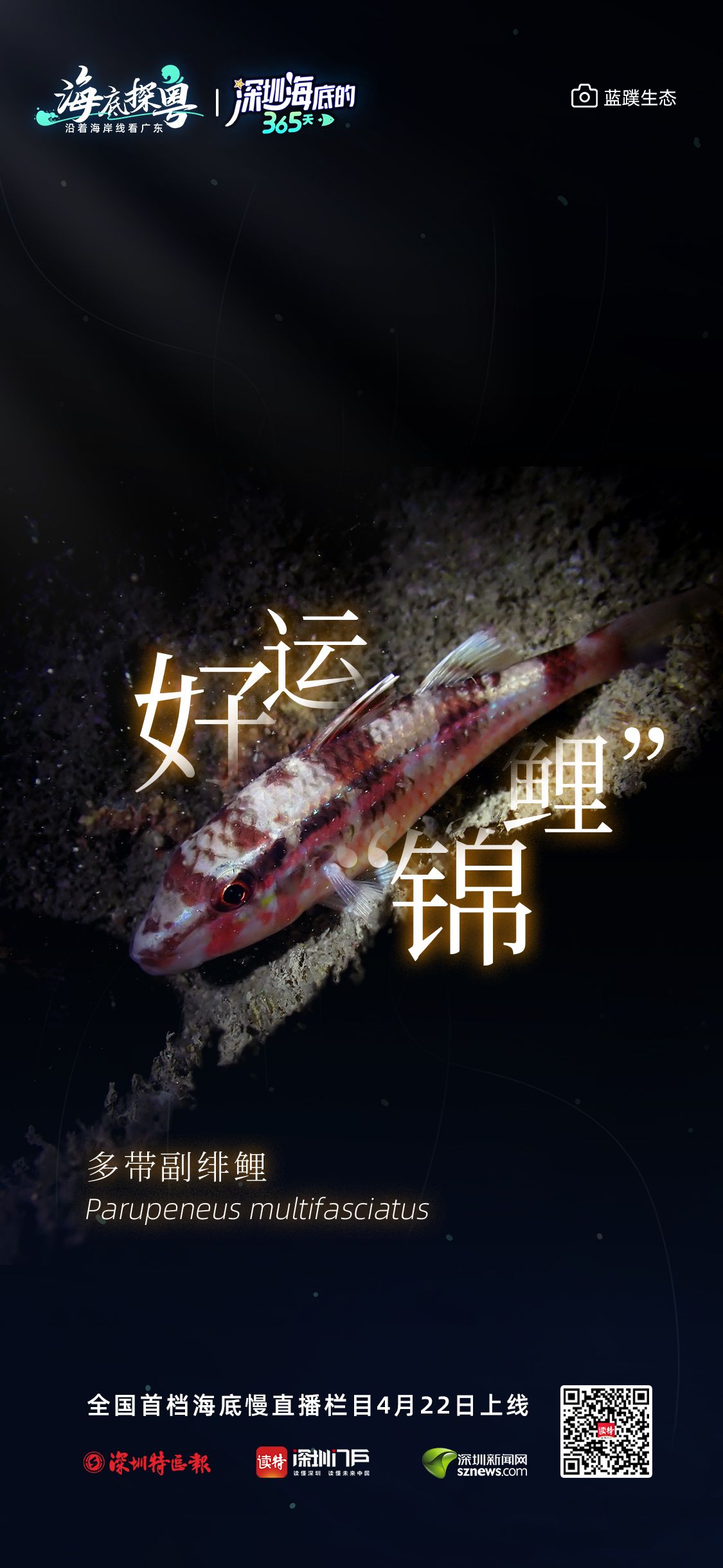 164fdb77a02382dd9dd1f803782f2cf3_047eb3f4598265bd23c6de285c4d75e8.jpeg