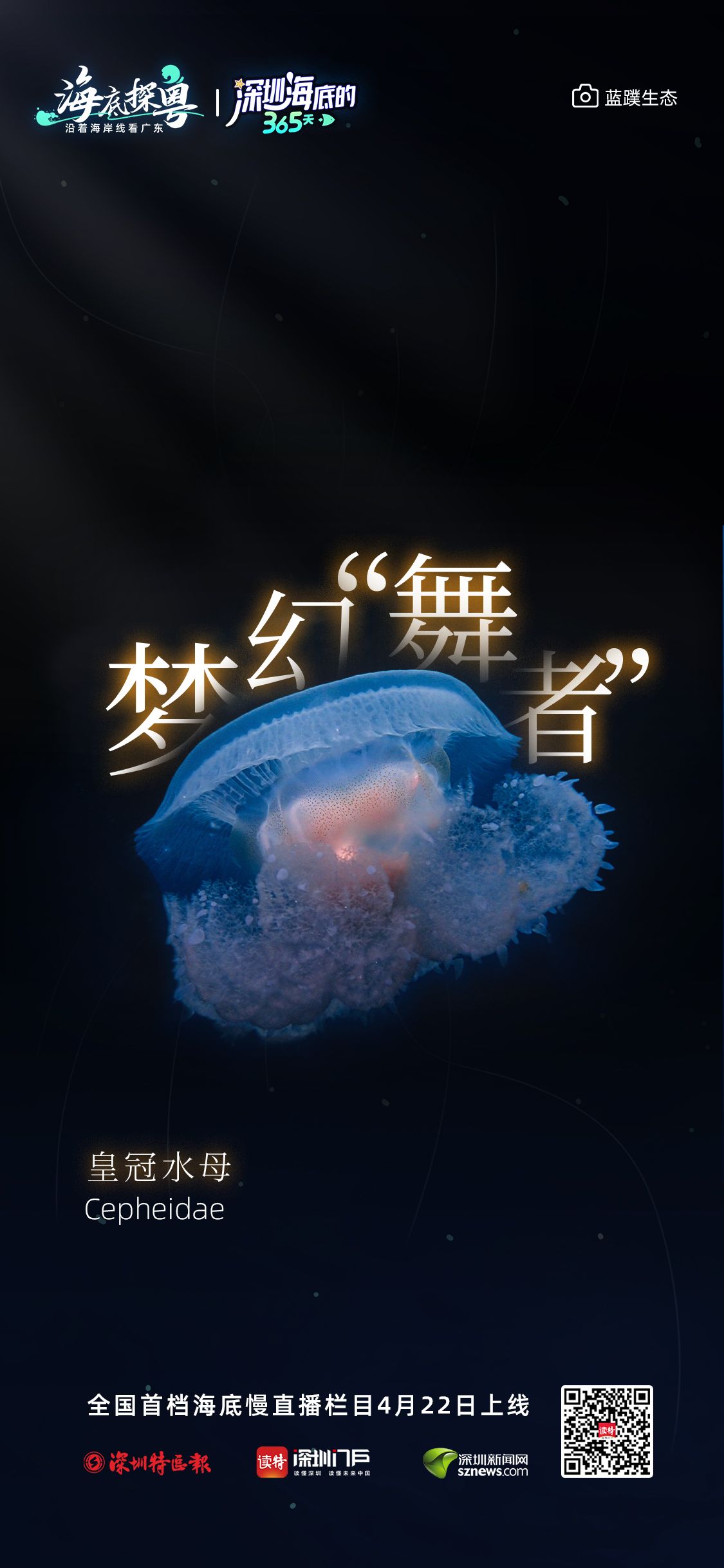40c614f7a3f0b1a690f23423fc6bb2d5_318e3e8c32535f0b5f22b333915d68ca.jpeg