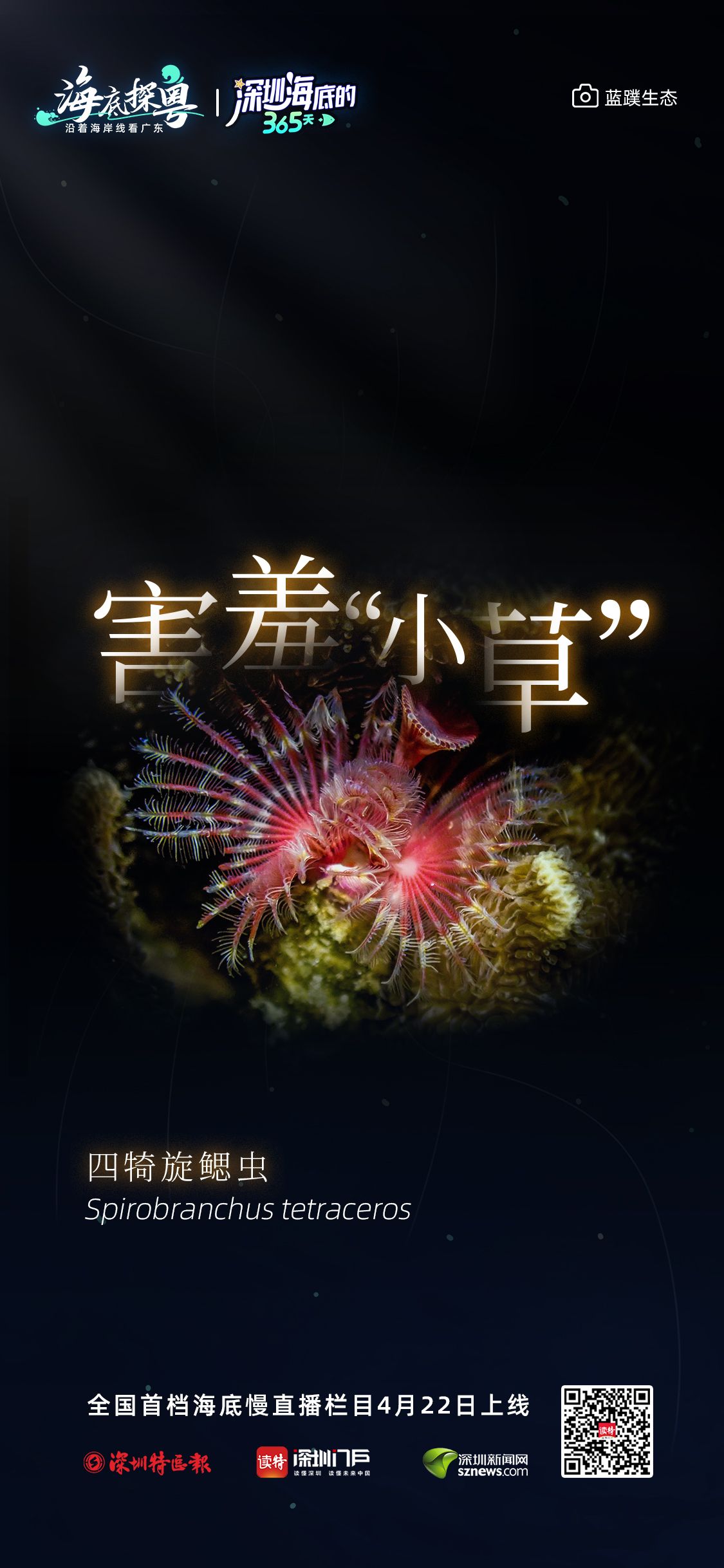 99c2ccb94c488d3d0f9ebcad41f642cb_f6e480a873bfd671ed78e16a7a0059e4.jpeg