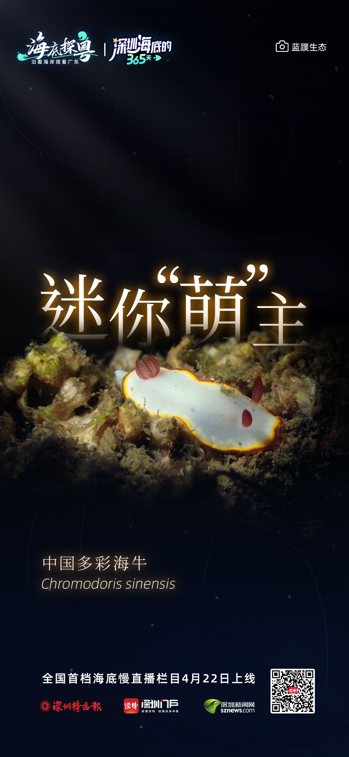 20c1abc027667b4c00c5c4d9421b8c34_8d0b3f5b2f6798150354e14b09fc0b18.jpeg