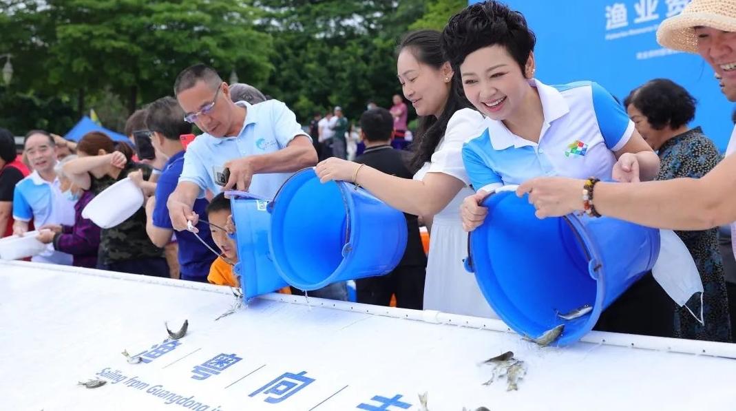 深圳渔博会举行增殖放流活动 近2万尾珍稀特色海洋生物流入深圳湾