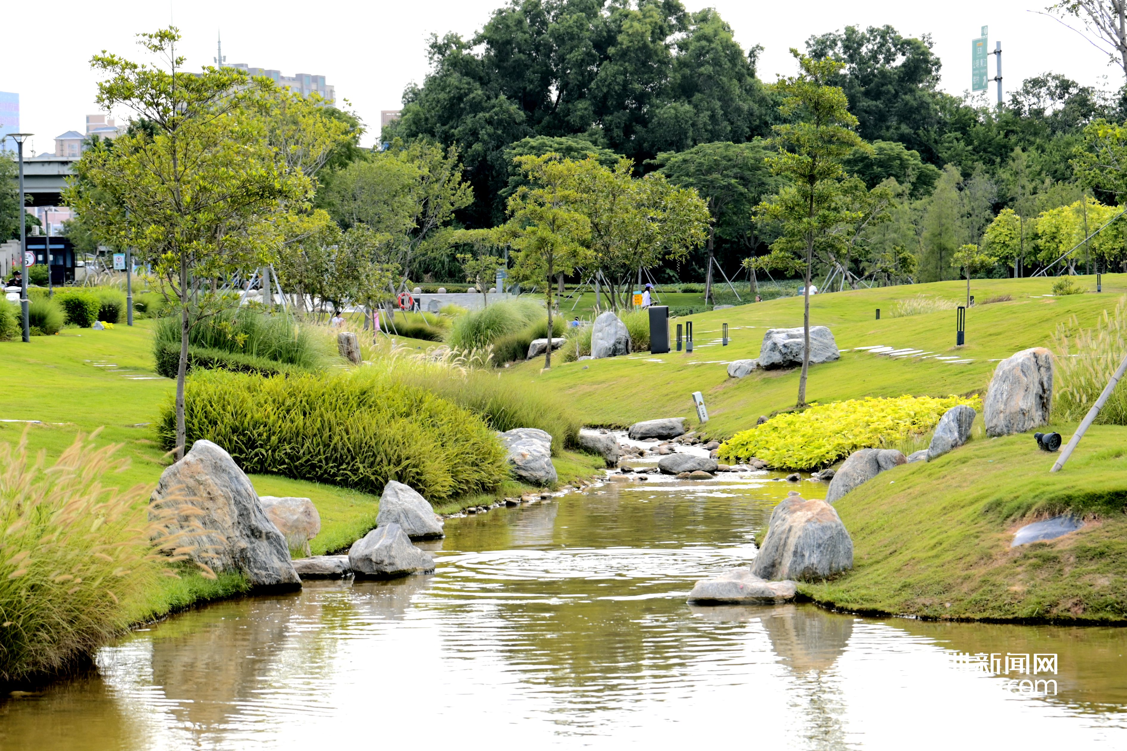 光明楼村湿地公园被评为“2023年深圳市环境教育基地”
