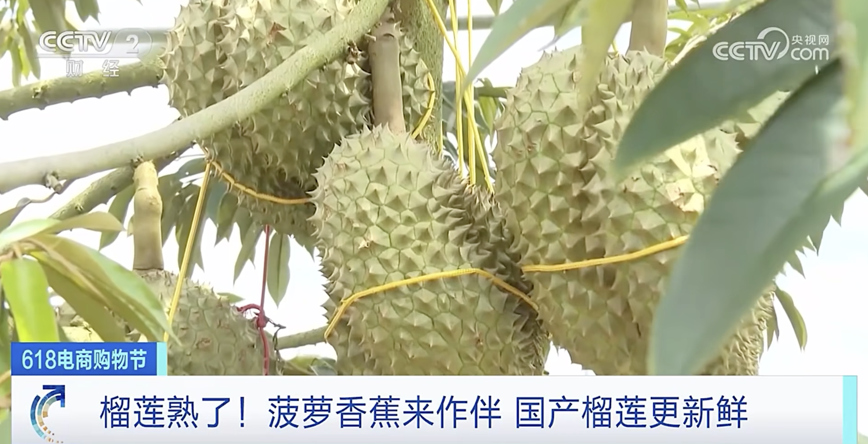 129ffeea88f15d4e2c482419c8b8d851.png